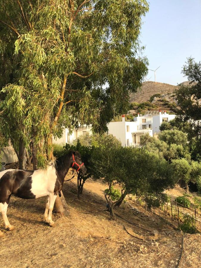 Mourtzanakis Residence - Traditional Eco Hotel In Akhládha Esterno foto